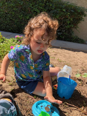 Child digging in the dirt