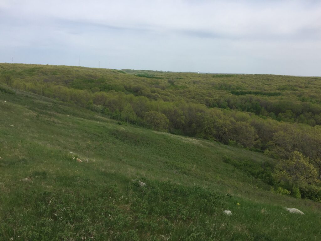 Dakota hills
