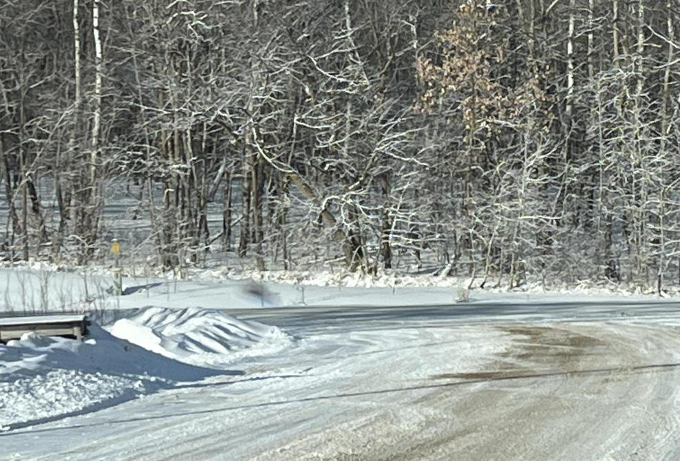 snow covered dirt road